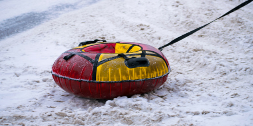 Великолучанин задержан за кражу тюбинга - 2021-03-03 17:06:00 - 1