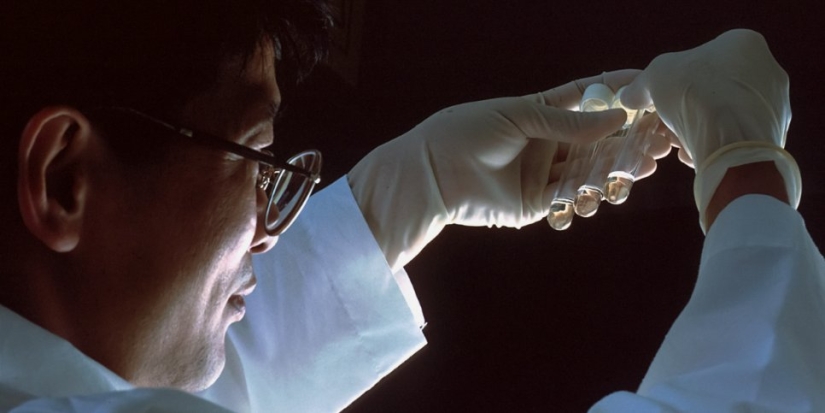 Вакцину для профилактики оспы разработали в России - 2022-07-20 18:00:00 - 1