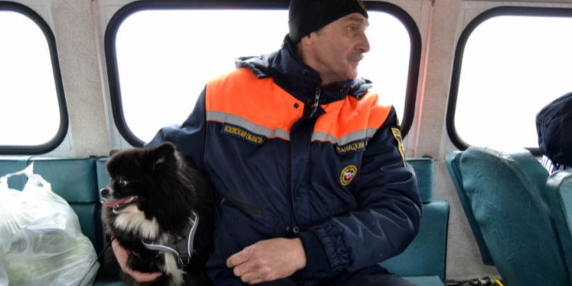 Спасатели Псковской области помогли жителям островов и их питомцам - 2024-03-25 16:35:00 - 1