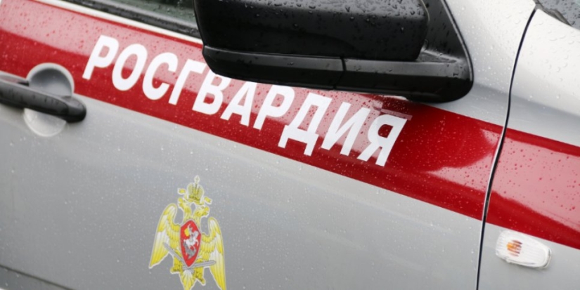Великолучанин пытался украсть в магазине алкоголь - 2022-05-11 12:35:00 - 1