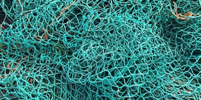 Браконьеров задержали на озере Забельское Гдовского района - 2021-11-23 15:35:00 - 1