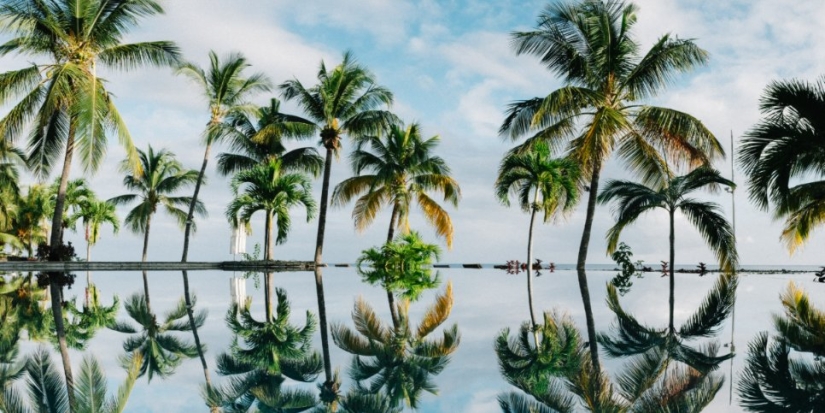 Россия полностью восстановила авиасообщение еще с тремя странами - 2021-08-27 18:30:00 - 1