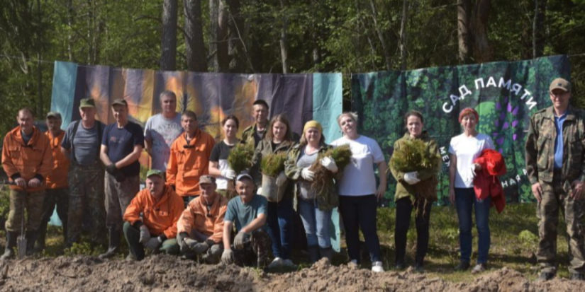 В Псковском районе высажено 6 тыс сосен в рамках акции «Сад памяти» - 2024-05-20 11:35:00 - 1