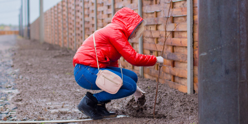 Госдума разрешила привлекать школьников к полезному труду без согласия родителей - 2023-07-20 16:35:00 - 1