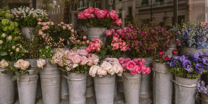 Пресечены поставки дешевых цветов в Россию - 2021-10-13 19:00:00 - 1