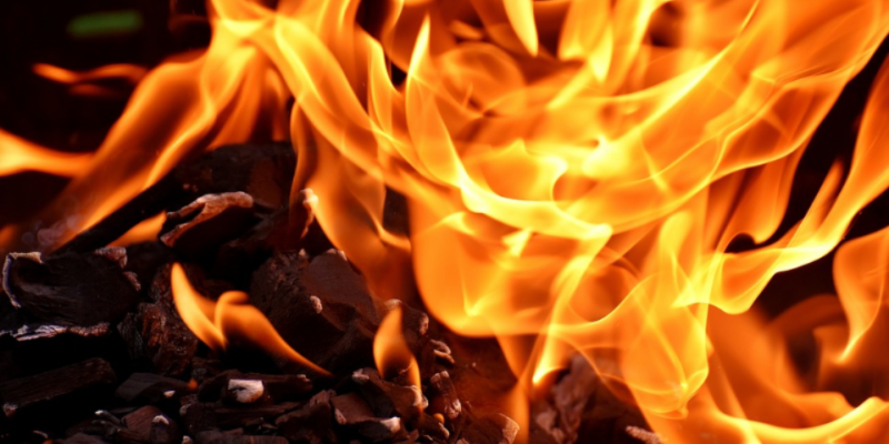 На пожаре в Плюсском районе пострадала женщина - 2021-03-24 11:13:00 - 1