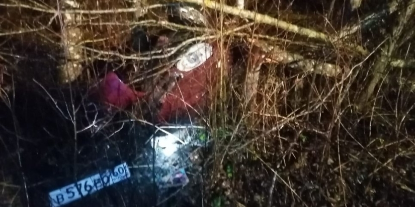 Двоих великолучан нашли погибшими спустя месяц поисков - 2021-11-07 21:56:44 - 1