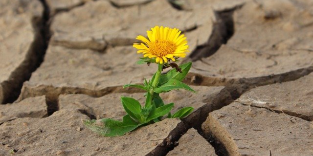 Новый экологический проект для вузов - 2021-01-30 20:00:00 - 1