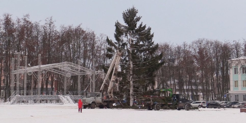 В Великие Луки приехала новогодняя ель - 2022-12-16 10:53:22 - 1