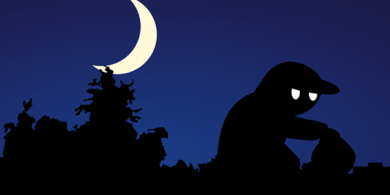 В Великих Луках раскрыта серия краж интернет-кабеля - 2021-02-15 09:00:00 - 1