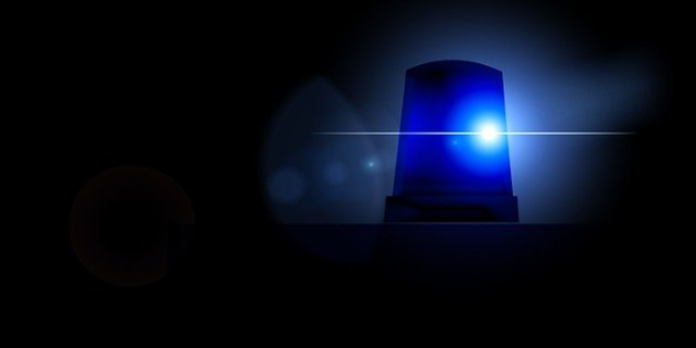 В Бежаницах по «горячим следам» раскрыто разбойное нападение - 2021-04-19 17:36:00 - 1