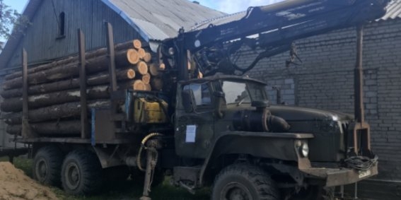 «Черные лесорубы» вырубили в Гдовском районе деревья на 20 млн рублей - 2022-07-08 17:05:00 - 1