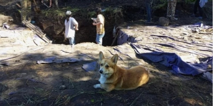 В Новосокольническом районе выбирают лучший проект археологического парка - 2023-03-02 14:35:00 - 1