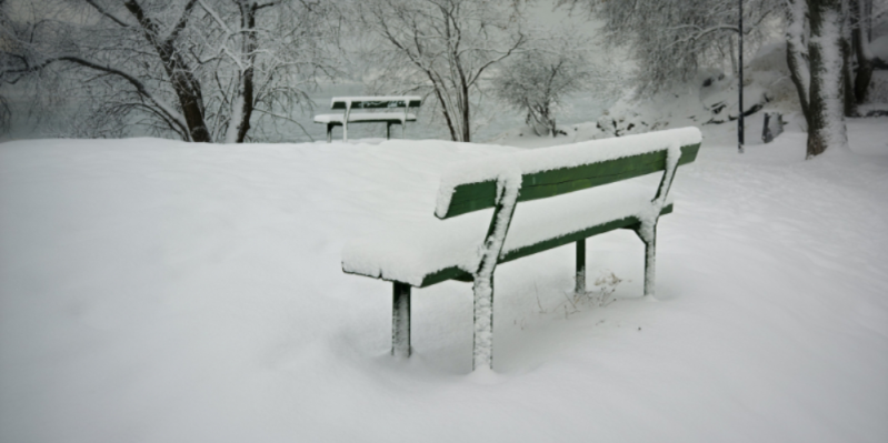 Зима в России скоро исчезнет, считают ученые - 2021-03-15 10:14:00 - 1