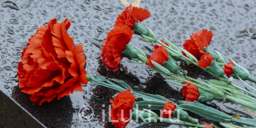 В Псковской области почтили память ликвидаторов аварии на Чернобыльской АЭС - 2024-04-26 16:35:00 - 1