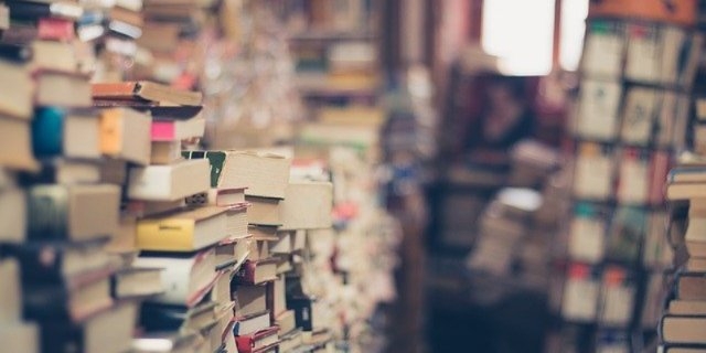 В Псковской области стартует акция по сбору книг для жителей Донбасса - 2022-08-30 13:35:00 - 1