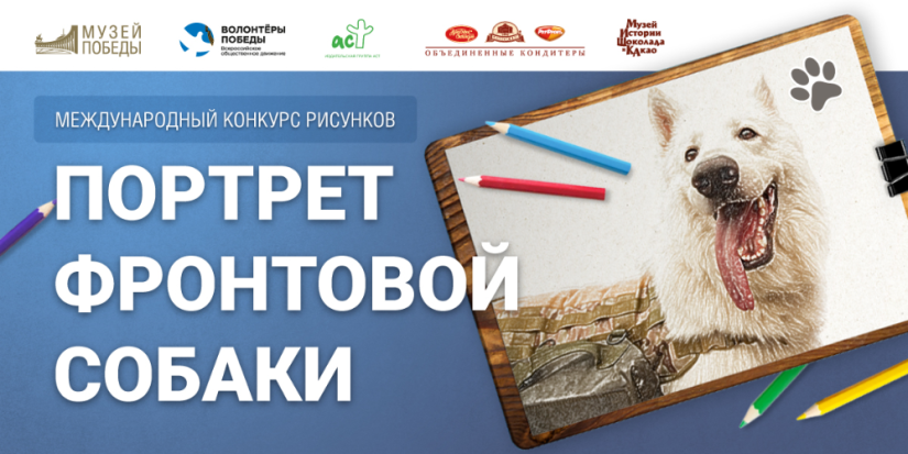 Великолучанам предлагают нарисовать «Портрет фронтовой собаки» - 2023-05-25 11:35:00 - 1
