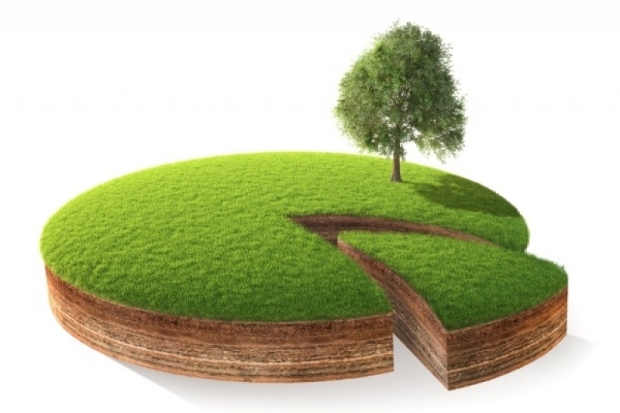 Администрация города Великие Луки сообщает о возможности предоставления в аренду земельного участка - 2018-12-20 19:49:00 - 1