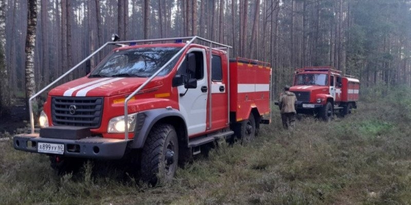 В Псковской области сократилось количество лесных пожаров - 2022-10-07 13:05:00 - 1