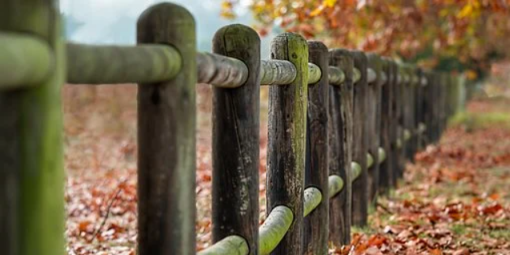 Владелец участка в Гдовском районе загородил общий доступ к реке - 2021-03-05 12:06:00 - 1