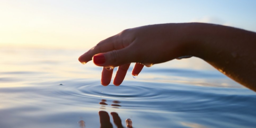 Экоактивисты в регионах могут получить набор волонтера «Воды России» - 2021-06-26 17:00:00 - 1