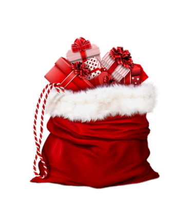 МВД России дает старт социальной акции «Новогодний патруль» - 2018-12-06 13:28:00 - 1