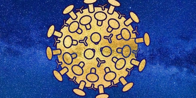 Смертность от COVID-19 в России третий день подряд обновляет рекорд - 2021-09-30 13:25:00 - 1