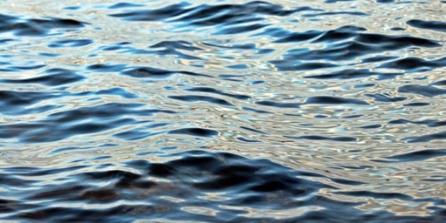 В Пскове стартовал патриотический водный поход - 2021-06-22 12:13:00 - 1