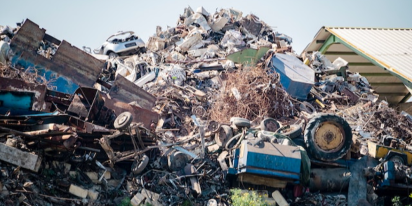 Свалка горючих отходов ликвидирована в Гдовском районе - 2023-08-18 19:35:00 - 1