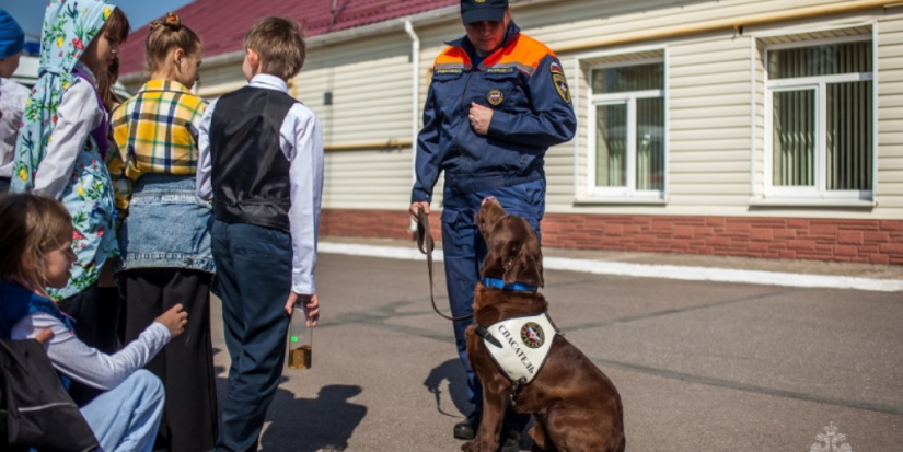 Исполняется 27 лет со дня основания кинологической службы в составе МЧС России - 2023-06-20 12:35:00 - 1