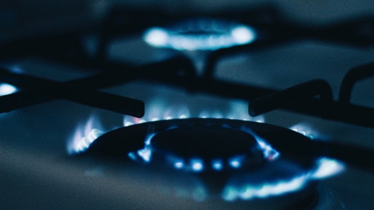 Госдума приняла закон о бесплатной газификации - 2021-06-02 13:39:15 - 1