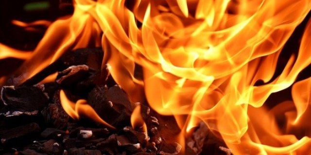 С начала года в Псковской области зарегистрировано 2923 пожара - 2021-08-05 20:00:00 - 1