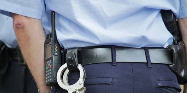 Житель Псковского района подозревается в краже техники и ювелирных изделий - 2021-08-05 14:12:00 - 1