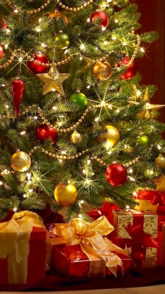 О запрете дарить предновогодние и рождественские праздники чиновникам - 2018-12-25 06:48:00 - 1