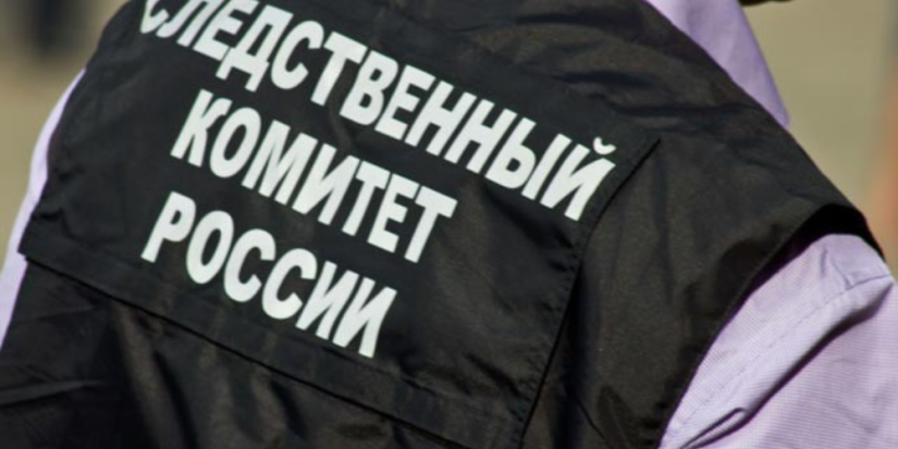 В Великих Луках возбуждено уголовное дело по факту смерти несовершеннолетней - 2024-01-29 09:05:00 - 1