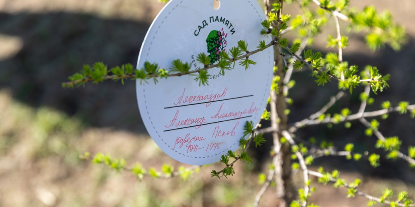 В Пскове посадили «Сад памяти» - 2023-05-11 12:05:00 - 1