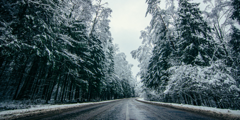 Автотрассу от Пскова до Невеля в этом году ждет масштабный ремонт - 2023-03-12 09:00:00 - 1
