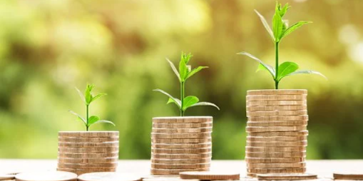 Предложения по индексации пенсий работающим пенсионерам - 2021-02-02 10:19:00 - 1