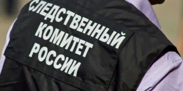 В Пскове установлена подозреваемая в убийстве новорожденного ребенка - 2021-11-16 09:05:00 - 1