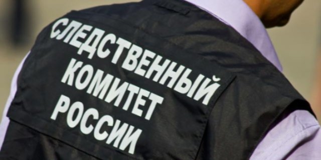 В Пскове завершено расследование дела об убийстве новорожденного ребенка - 2021-12-30 13:35:00 - 1