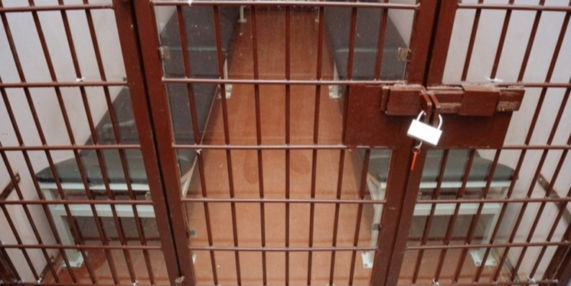 Житель Порхова заключен под стражу по обвинению в убийстве матери - 2023-02-13 10:05:00 - 1