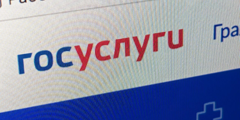 Полиция напомнила о возможности оплачивать штрафы со скидкой на Госулугах - 2023-12-03 14:05:00 - 1