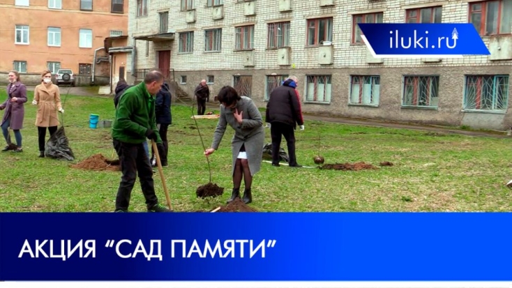 Студенты Великолукского медколледжа приняли участие в акции «Сад памяти» - 2021-05-08 19:00:00 - 1