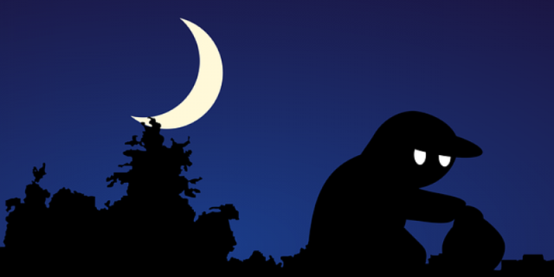 Несколько краж раскрыто в Псковской области - 2021-03-12 14:56:00 - 1