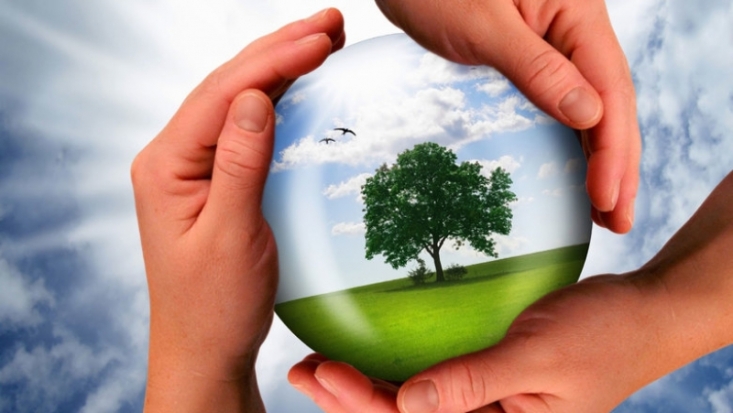 Выявлены экологические нарушения на общую сумму в 162 млрд рублей - 2018-12-30 13:14:00 - 1