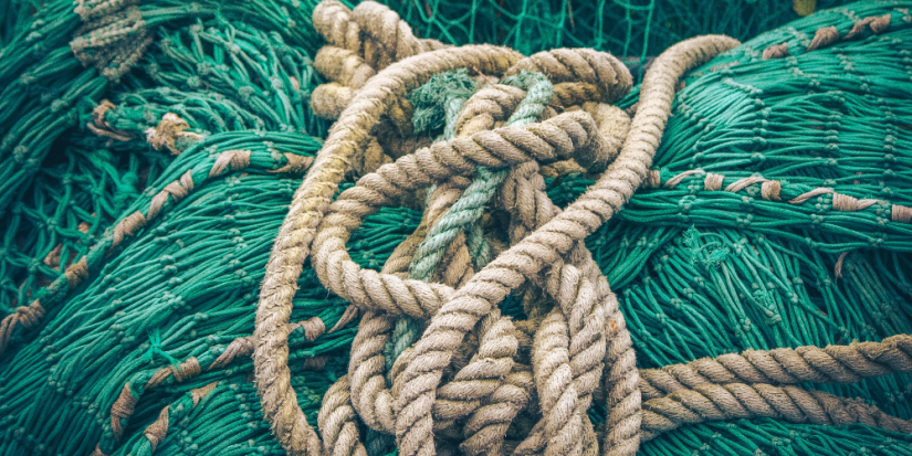 Трактор с прицепом, лодку и сети изъяли у браконьеров в Пустошкинском районе - 2024-04-04 15:05:00 - 1