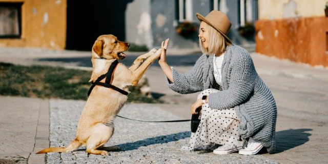 Как ученые и студенты помогают животным - 2021-02-07 20:00:00 - 1