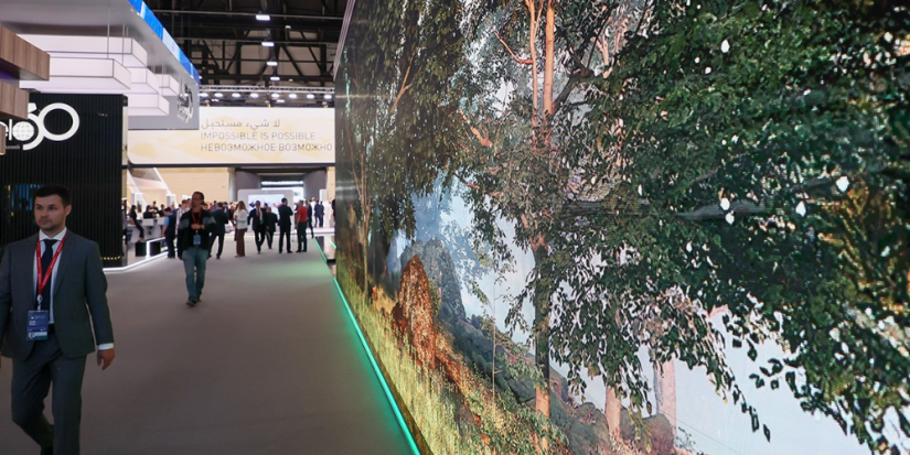 На ПМЭФ 2023 заключили соглашение о развитии фанерного завода в Плюссе - 2023-06-15 17:35:00 - 1