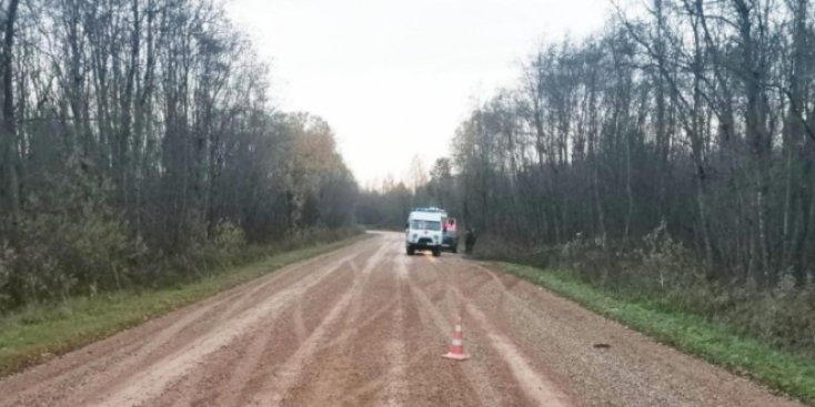 8 человек получили ранения на дорогах Псковской области за неделю - 2021-10-25 12:35:00 - 1