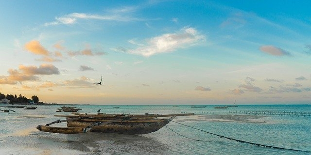 Экзотический туризм: путешествие на остров Занзибар - 2021-06-11 18:42:12 - 1